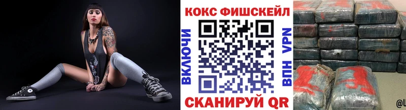 цены наркотик  Ельня  Кокаин FishScale 