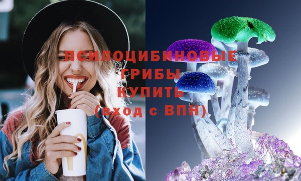 spice Дмитровск
