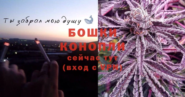 spice Дмитровск