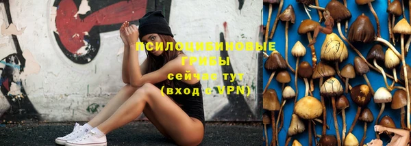 а пвп мука Дмитров