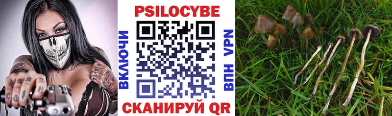 Галлюциногенные грибы мухоморы  купить наркотик  Ельня 